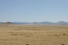 Insipid - wordplays.com