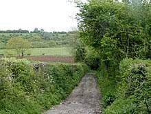 Fork west among the trees, they're off the beaten track (6) - wordplays.com