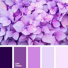Pale pinkish purple - wordplays.com