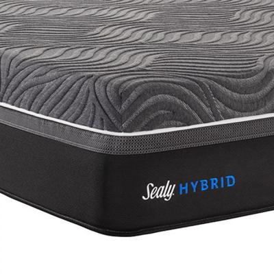 Sleeping Cats Spot Crossword Clue Wordplays Com