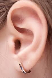 Studs Spot Crossword Clue Wordplays Com