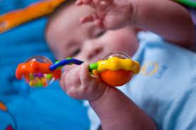 Rabbit the baby likes to have in its pram - wordplays.com