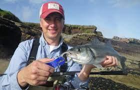 Freshwater fish - wordplays.com