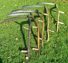 Reaping Implement 6 Crossword Clue Wordplays Com