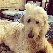 Untidy - wordplays.com