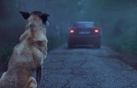 Leaves Distraught Son With A Group 8 Crossword Clue Wordplays Com