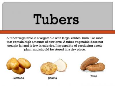 Prove Wrong Backing This Root Crossword Clue Wordplays Com