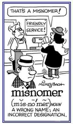 Wrong Name Crossword Clue Wordplays Com