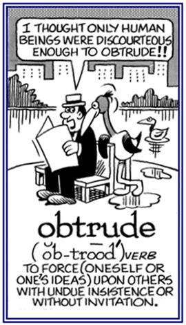 Unconventional Opinions Crossword Clue Wordplays Com