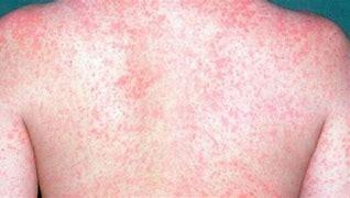 Spots the writer's passages (one excluded) - wordplays.com