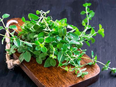 Basil, sage and parsley (5) - wordplays.com