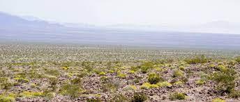 Curses rapscallion retreating inside for being so meagre (6) - wordplays.com