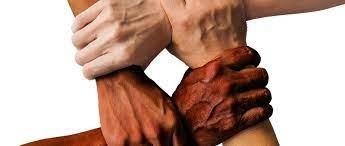 Agnate - wordplays.com