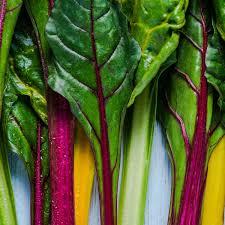 Variety of white beet (5) - wordplays.com