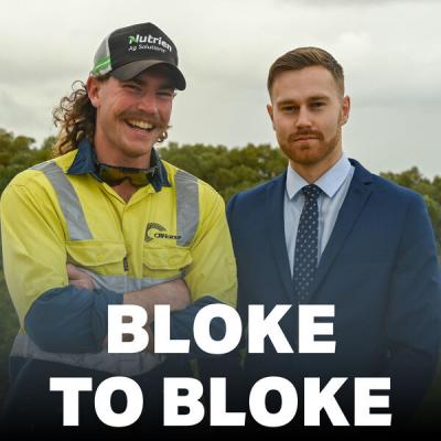 Bloke - wordplays.com